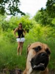 Young Girl With Her Dog Stock Photo