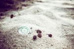 Vintage Pocket Watch On Sand With Pine Nuts Stock Photo