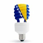 Flag Of Bosnia herzegovina On Bulb Stock Photo