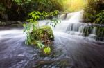 Fresh Green Plant And Rock In Middle Mun Dang Waterfall Rain Sea Stock Photo