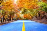 Autumn In National Park, South Korea Stock Photo