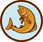 Brown Trout Jumping Circle Cartoon Stock Photo