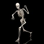 Running Skeleton  Stock Photo