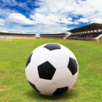 Soccer Ball On The Field Stock Photo