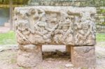 Carved Stones At The  Mayan Ruins In Copan Ruinas, Honduras Stock Photo