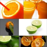 Citrus Fruits Collage Stock Photo