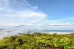 Tourists In Nature On The Mountain Stock Photo