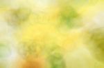 Blurred Floral Field Background. Blurred Nature Background Stock Photo