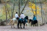 Riding In Canyon De Chelly Arizona Stock Photo