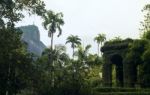 Botanical Garden In Rio De Janeiro, Brazil Stock Photo