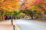 Naejangsan,korea - November 1: Tourists Taking Photos Of The Beautiful Scenery Around Naejangsan Park,south Korea During Autumn Season On November 1, 2015 Stock Photo