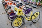 Bicycles For Hire In Vienna Stock Photo