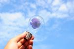 Light Bulb With Fish In Hand Stock Photo