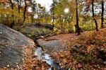 Autumn Scenery Stock Photo