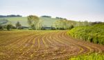 Arable Spring Land. Green Spring Farmland. Sunny Rural Spring La Stock Photo