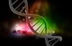 Dna, Medical And Research Subjects Stock Photo