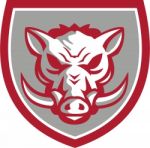 Wild Boar Razorback Head Angry Shield Retro Stock Photo