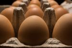 Eggs Poultry Concept Stock Photo