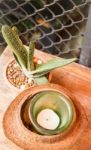 Little Green Plant Decorated On Wooden Table Stock Photo