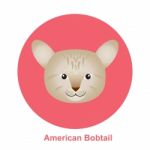 Cartoon American Bob Tail Cat In Circle  Illustration Stock Photo