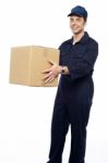 Male Holding Cardboard Box Stock Photo