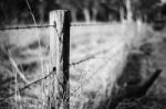 Rusted Sharp Timber And Metal Barb Wire Fence Stock Photo