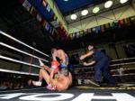 Thai Boxing Stock Photo