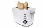 Modern Toaster Appliance Stock Photo