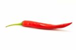 Red Chile On White Background Stock Photo