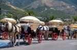 Mijas, Andalucia/spain - July 3 : Horse And Carriage In Mijas An Stock Photo