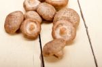 Shiitake Mushrooms Stock Photo