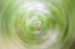 Abstract Blurred Green Leaves Background Stock Photo