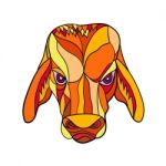 Brahma Bull Head Mosaic Color Stock Photo