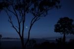 Trees In The Countryside In Queensland Stock Photo