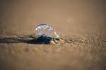 Sunshine Beach At Noosa, Sunshine Coast Stock Photo