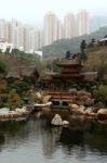 Traditional Temple In A Skyscrapers Background, Chi Lin Nunnery Temple, Hong Kong Stock Photo