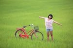 Happy Girl In Paddy Field Stock Photo