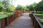 Wooden Walkway In The Park Stock Photo