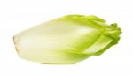 Chicory  Isolated On A White Background Stock Photo