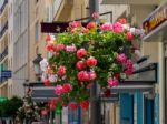 Estepona, Andalucia/spain - May 5 : Flowers In A Street  In Este Stock Photo