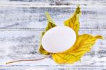 Duck Egg And Yellow Maple Leaf Stock Photo