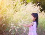 Adorable Little Girl Laughing In A Meadow - Happy Girl At Sunset Stock Photo