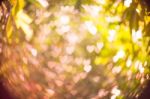 Heart Bokeh Background Stock Photo