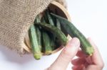 Healthy Okra Chips On Clean Background Stock Photo