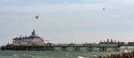 Dogfight Over Eastbourne Pier Stock Photo