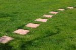 Green Grass Footpath Stock Photo