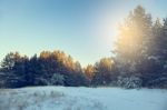 Winter Landscape Stock Photo