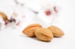 Almond Tree Branch And Almonds Stock Photo