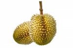 Durian On White Background Stock Photo