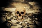 Human Skull On Ruins Place Stock Photo